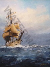 87815 VAN HOVE STORM Decor