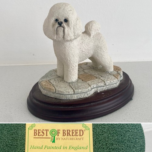 Vintage bichon frise dog - bichon,