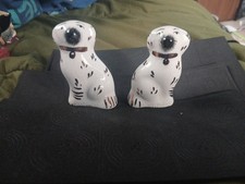 Staffordshire Terrier