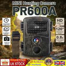 24MP Hunting Trail Night