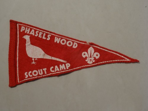 Phasels wood scout - wood,
