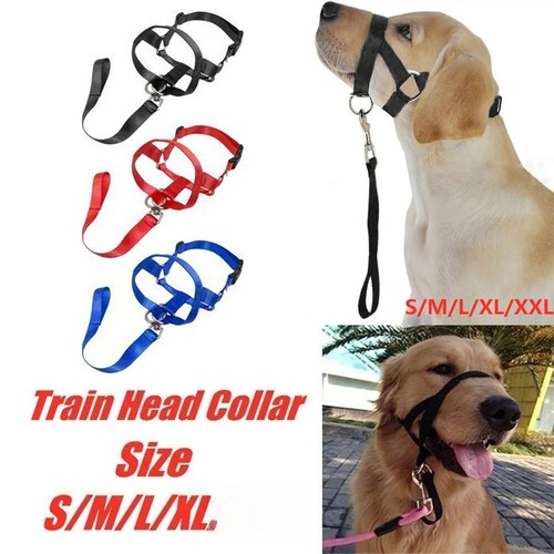 Halti headcollar non pull dog - non,