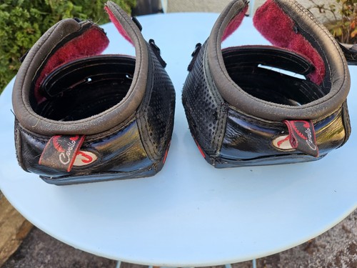 Pair cavallo trec horse - trec,