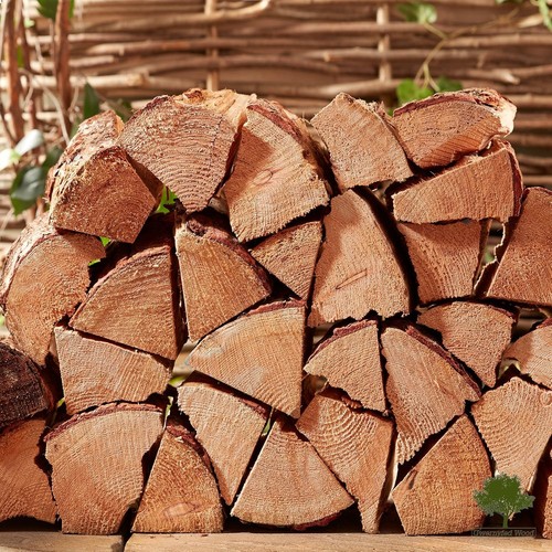 Softwood firewood logs - firewood, 8x