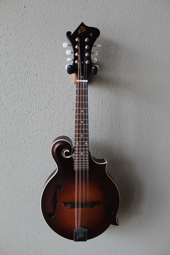 Brand new the loar - new,