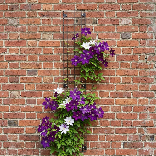 Wall mounted garden plus