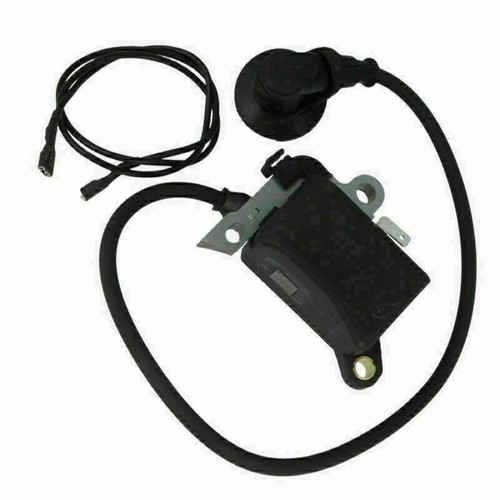 Ignition module coil - coil, hole