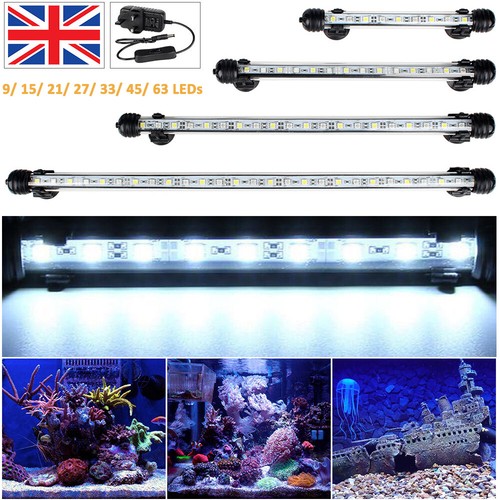 Aquarium fish tank - fish, led