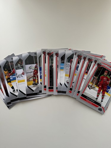 Cardiff devils blindside - cardiff,