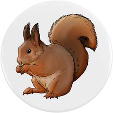 'Red Squirrel' Button Pin