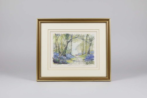 Bluebell wood landscape - wood, angela