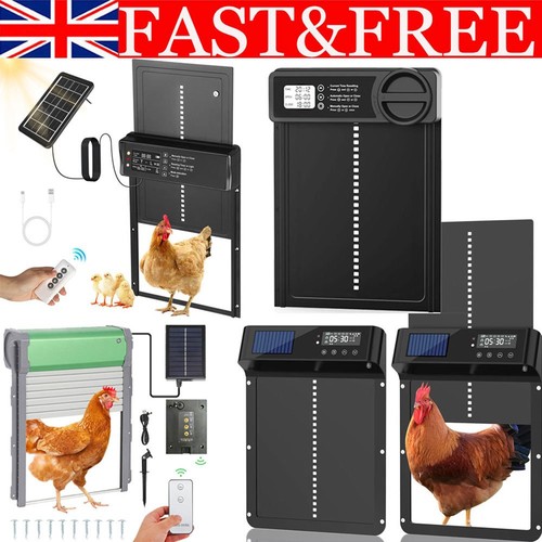 Solar powered chicken - powered, house
