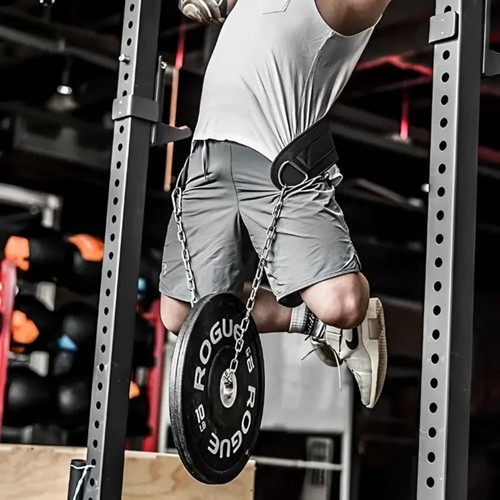 Dipping pull weight belt - pull, up