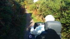 Photo 6x4 On the Tramper Trail