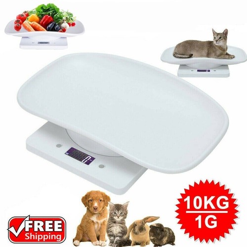 Electronic lcd digital cat - electronic,
