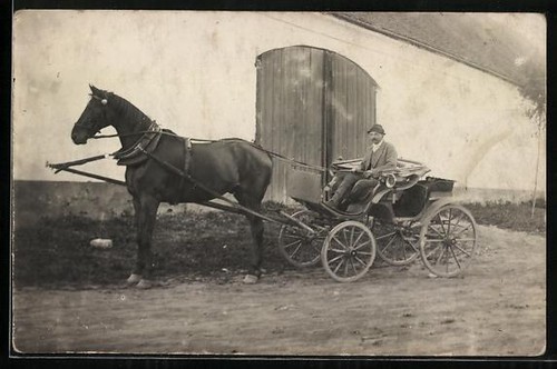 Man single horse carriage - a,