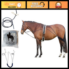 Lunging aid for horses - for,