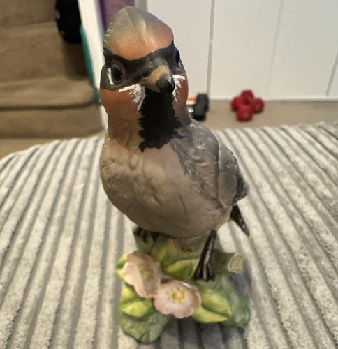 Beautiful birds collection - beautiful,