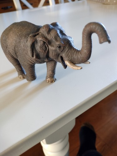 Collecta toy animal - collecta,