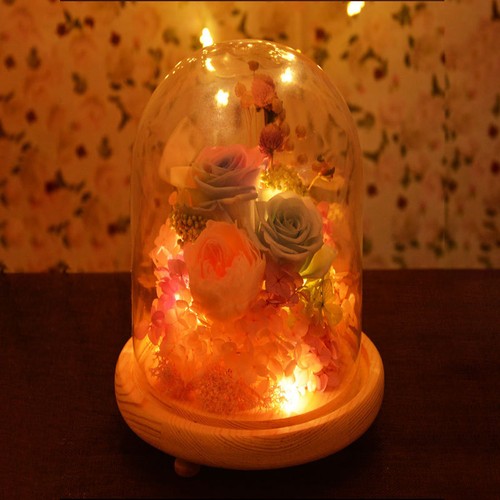 Fashion glass display cloche - glass,