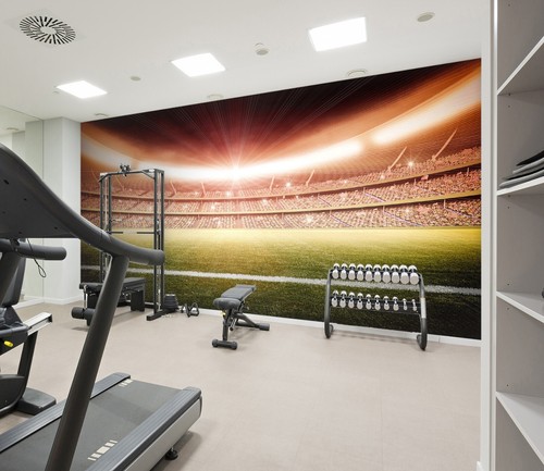 Football field r035 - football,