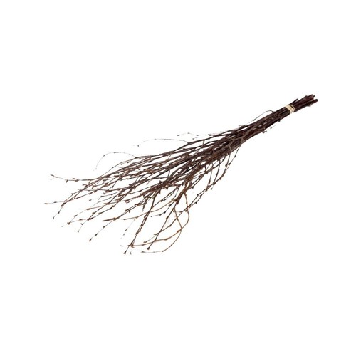 Dried bunch natural - bunch, birch