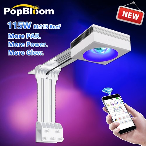 Popbloom rl115 wifi - popbloom,