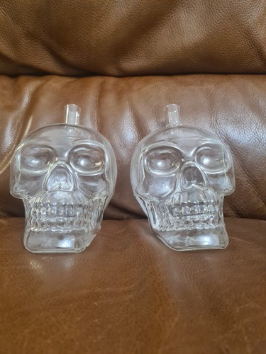 Glass skull heads - wine, bottle