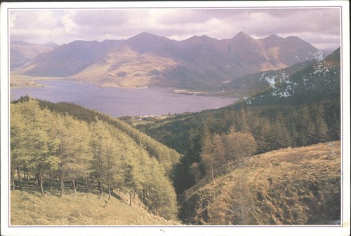 Vintage postcard the five - the,