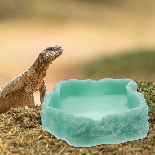 Luminous reptile bowl - reptile,