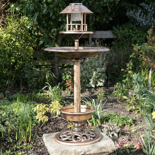 Garden bird bath feeding - garden,