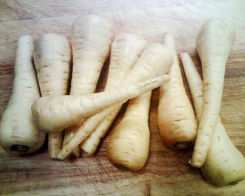 Parsnip white gem 500 - parsnip,