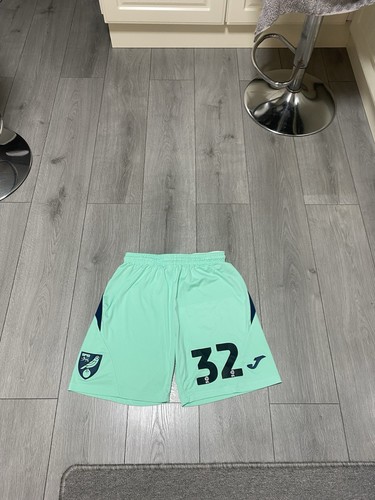 Norwich city match worn daniel - city,