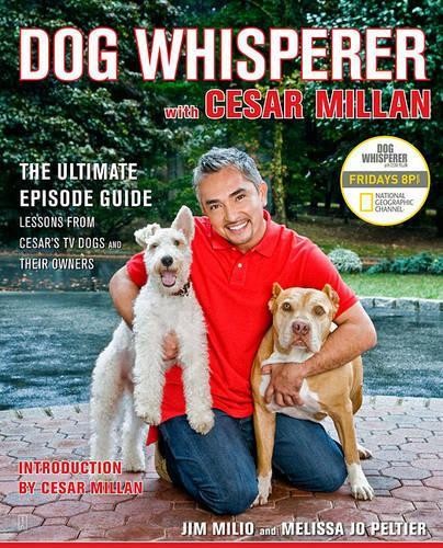 Dog whisperer with cesar - dog,