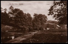 On The Eden Appleby Man Fly