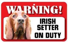 Irish Setter Sign - Laminated