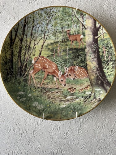 The woodland year peter - year,