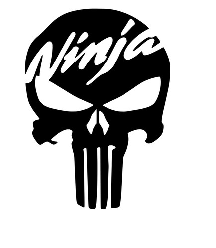 Kawasaki ninja skull - kawasaki, zx10r