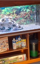 21Inches High, 15Inches Front To Back And48 Inch Long FishTank.With Accessories