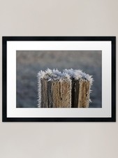 Frozen Post Framed Art Print