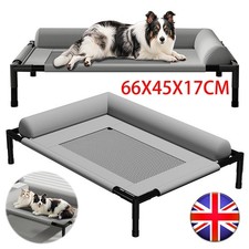 Orthopaedic Elevated Pet Dog