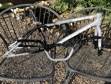 89 DIAMONDBACK VIPER FW 20”