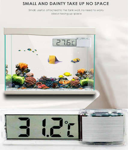 Digital water aquarium - digital,