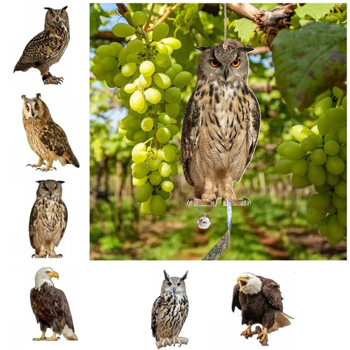 Realistic owl decoy - realistic, deterrent