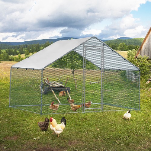 Large metal chicken - metal, hen