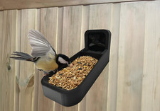 Blink Outdoor Camera Bird