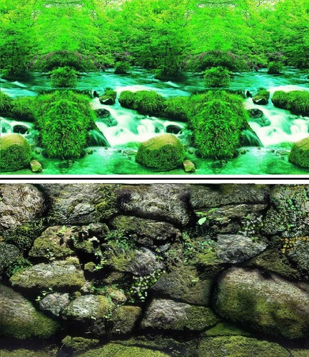 Aquarium fish tank background - fish,
