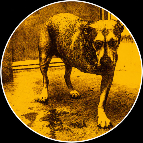 Alice chains weather - in,
