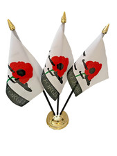 Lest We Forget RAF Poppy 3