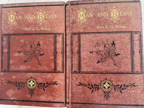 Rev wood man and beast - :,